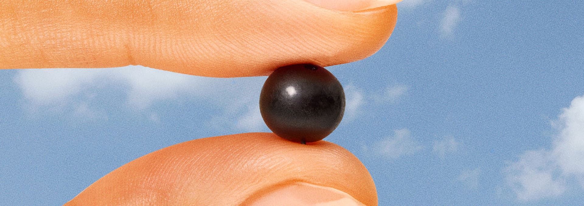Close-up of two fingers gently holding a small, round black berry against a blue sky background with a few clouds.