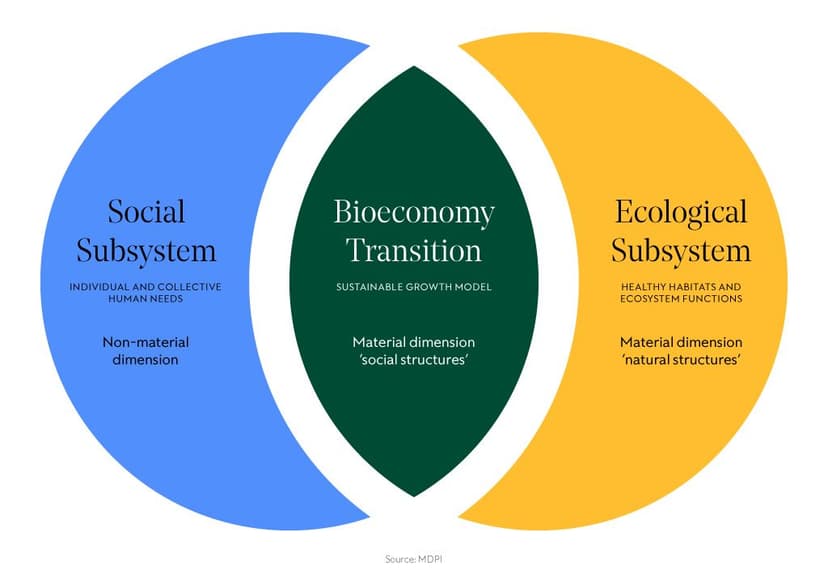 Venn Diagram